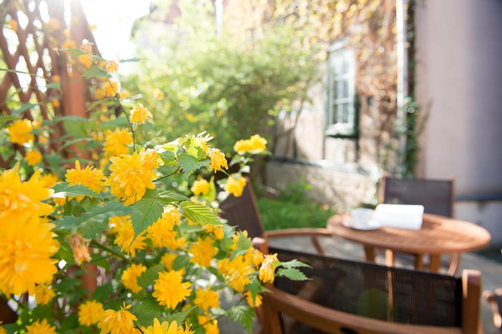 Apartmenthaus Im Stieg Quedlinburg Exteriör bild